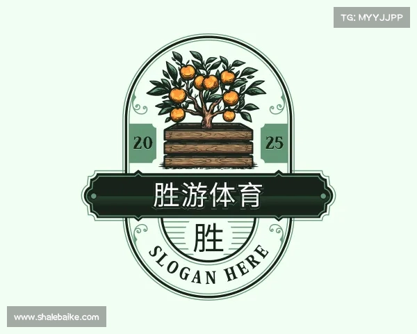 了解胜游亚洲APP
